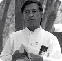 素食名人 墨西哥裔美國勞工領袖 塞薩爾．查韋斯